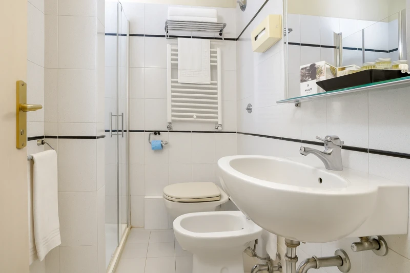 Hotel Alcide, bagno camera superior 5